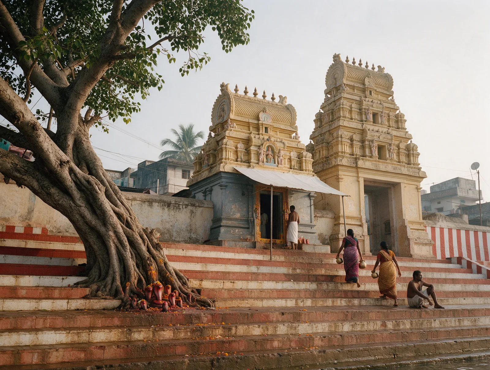 Worn ghat steps at Kotilingala Revu in Rajamahendravaram rising past an old pipal tree to the small Kotilingeswara shrine and its ochre gateway tower in the morning haze