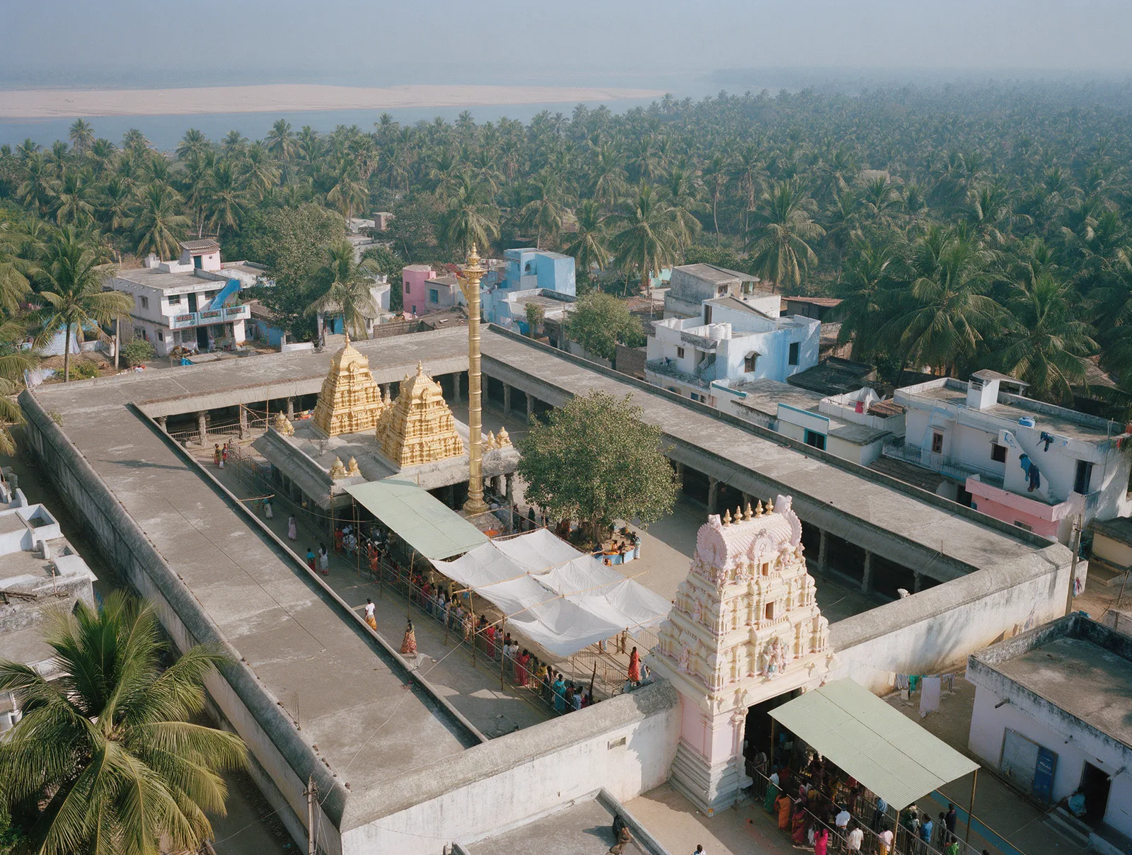 The Vadapalli Venkateswara temple from the air on a Saturday, its gold-clad vimanas and pink gopuram inside a walled compound, coconut groves and the Godavari beyond